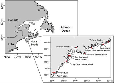 Multiple Metrics of Temperature, Light, and Water Motion Drive Gradients in Eelgrass Productivity and Resilience